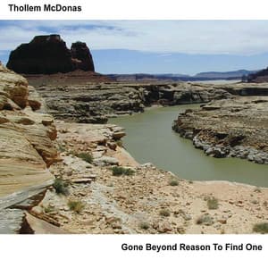 Gone Beyond Reason to Find One - Thollem Mcdonas
