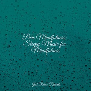 Pure Mindfulness: Sleepy Music for Mindfulness - Dormir