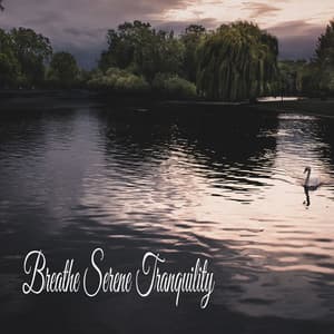 Breathe Serene Tranquility - Música Relajante