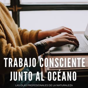 Trabajo Consciente Junto Al Océano: Las Olas Profesionales De La Naturaleza - Empollón de la naturaleza