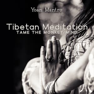Tibetan Meditation: Tame the Monkey Mind - Yoan Mantro