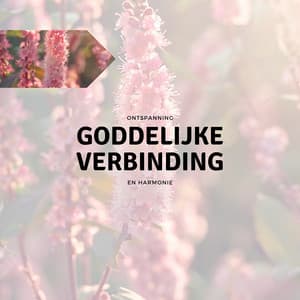 Goddelijke Verbinding - Ontspanning en Harmonie