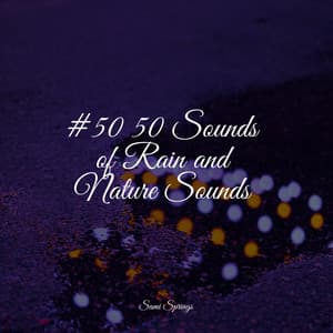 #50 50 Sounds of Rain and Nature Sounds - Lullaby Rain