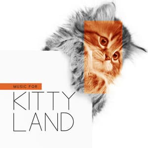 Music for Kittyland: Calming Ambient for Cats with Anxiety - Ambient Sounds Collection