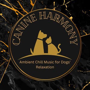 Canine Harmony: Ambient Chill Music for Dogs' Relaxation - Relaxing Piano
