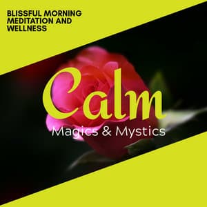 Blissful Morning Meditation and Wellness - Relaxing Minds