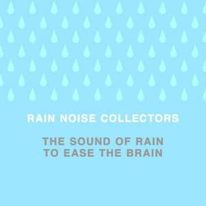 The Sound of Rain to Ease the Brain - Rain Noise Collectors