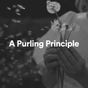 A Purling Principle - Vacuum Cleaner White Noise