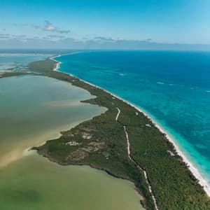 Baby White Noise - Black Noise Sleep