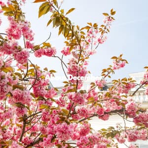 About December - Chill Cafe Music