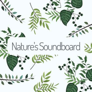 Nature's Soundboard - Organic Sound