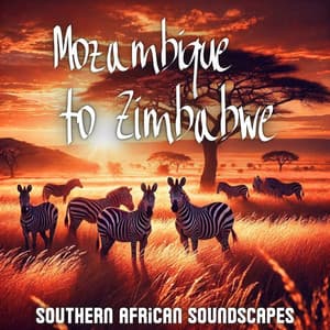 Mozambique to Zimbabwe: Southern African Soundscapes, Exotic Relaxing Music - African Music Drums Collection