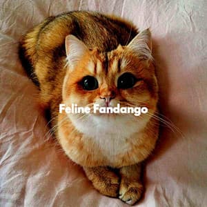 Feline Fandango - RelaxMyCat