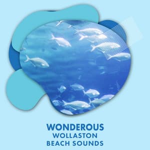Wonderous Wollaston Beach Sounds - The Sound Reserve