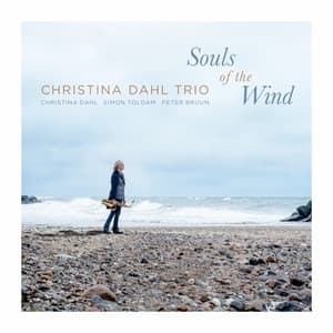 Souls of the Wind - Christina Dahl
