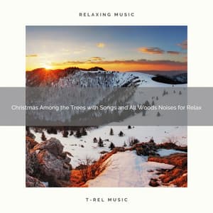 Christmas Among the Trees with Songs and All Woods Noises for Relax - Sound Sleeping