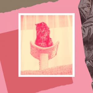 Echoes of Cool Kittens - Relaxing Music for Cats