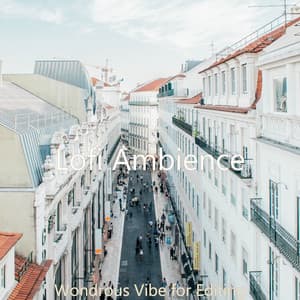 Wondrous Vibe for Editing - Lofi Ambience