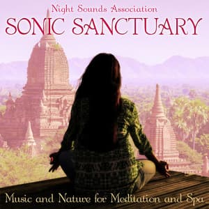Sonic Sanctuary: Music and Nature for Meditation and Spa - Night Sounds Association