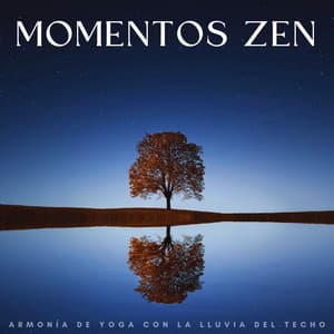 Momentos Zen: Armonía De Yoga Con La Lluvia Del Techo - Relajante Lo Fi