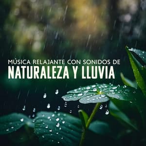 Música Relajante con Sonidos de Naturaleza y Lluvia: Sueño Profundo - Área de relajación