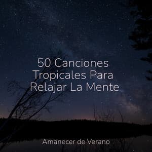 50 Canciones Tropicales Para Relajar La Mente - Piano Suave Relajante