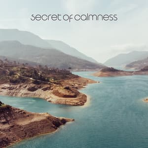 Secret of Calmness: Therapeutic Sounds of Nature & Piano - Wellbeing Zone