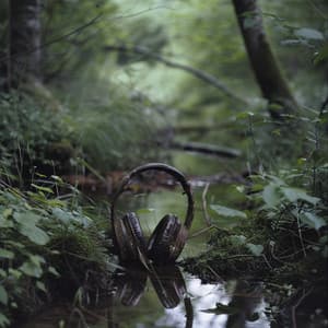 Music of Minds: Thoughtful Harmonies - Ambient Sample Library