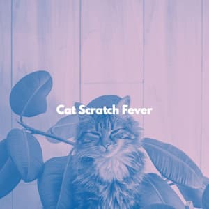 Cat Scratch Fever - Cat Music Experience