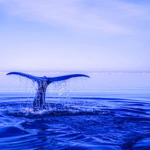 50 Ambient Water Songs: Blue Serenity - Sea Waves Sounds