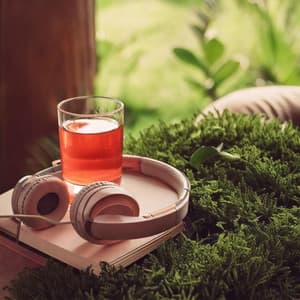 Lofi Relaxation Layers: Melodic Calmness - Solfeggio Frequencies Tones