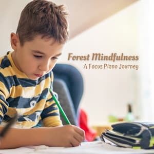Forest Mindfulness: A Focus Piano Journey - Nature Noises