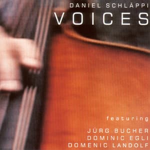 Voices - Daniel Schläppi
