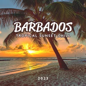 Barbados Tropical Sunset Chill 2023 - DJ Domain