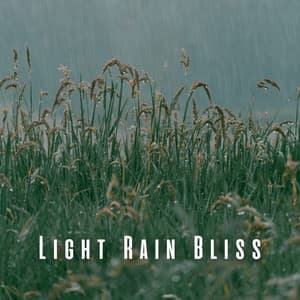 Light Rain Bliss: Owl's Bird Song for Relaxation - Rain Sounds for Sleep Aid