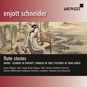 Enjott Schneider: Flute Stories - Enjott Schneider