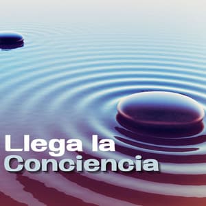 Llega la Conciencia: Canciones para Despertar la Conciencia Espiritual - Meditation Space