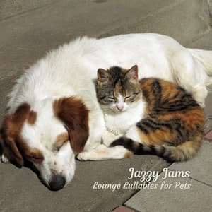 Jazzy Jams: Lounge Lullabies for Pets - Winter Jazz Cafe Lounge