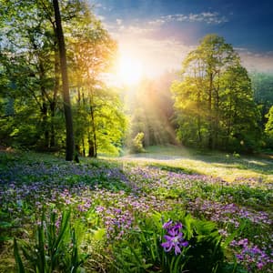 Music For Quiet Moments And Peaceful Reflection - Relax Music Studio