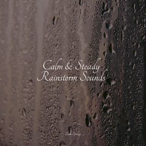 Calm & Steady Rainstorm Sounds - Lluvia PQ