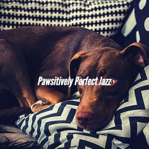 Pawsitively Perfect Jazz - Relaxing Dog Music Classics