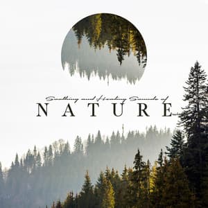 Soothing and Healing Sounds of Nature. Music for Well – Being Every Day - Natural Therapy Music Academy