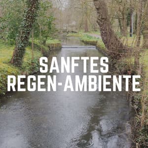 Sanftes Regen-Ambiente - Regen zum Schlafen