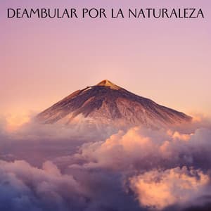 Deambular Por La Naturaleza - Grabaciones de la naturaleza