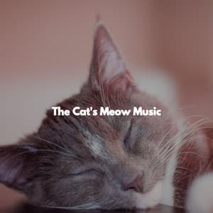 The Cat's Meow Music - Cooking Music Chill