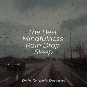 The Best Mindfulness Rain Drop Sleep - Natural Sounds