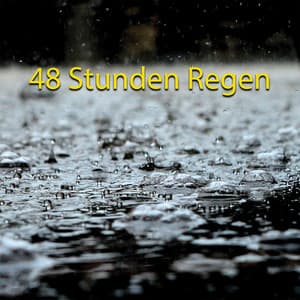 48 Stunden Regen - Edgar Withers