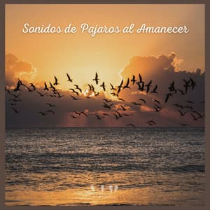 Sonidos de Pajaros al Amanecer - Sonidos De Pajaros