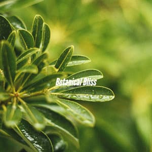 Botanical Bliss - Cafe Jazz Paris