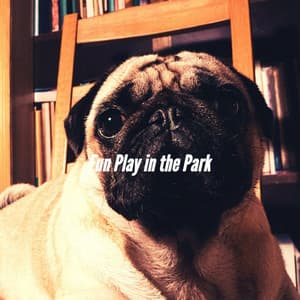 Fun Play in the Park - Dog Chill Out Music